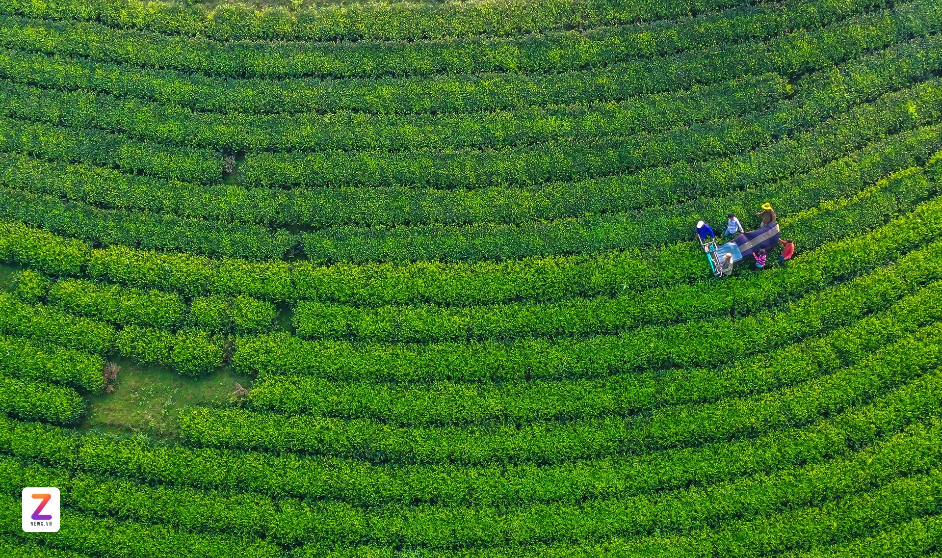 Long Cốc ảnh 2