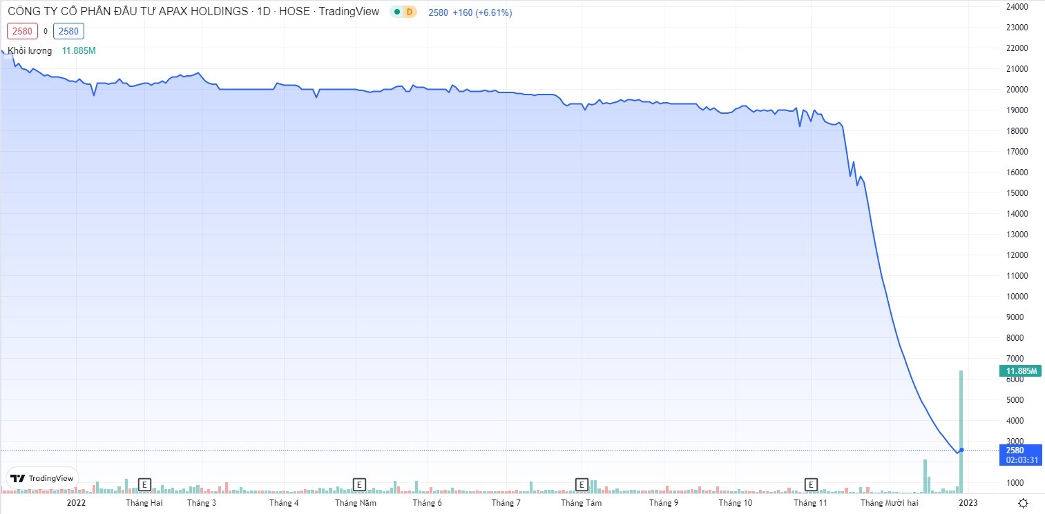 apax holdings anh 1