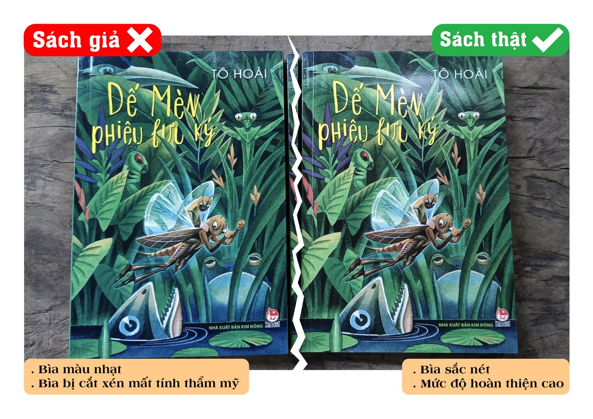 truy quet hang gia, sach gia sach lau, in sach lau, van nan sach gia anh 2