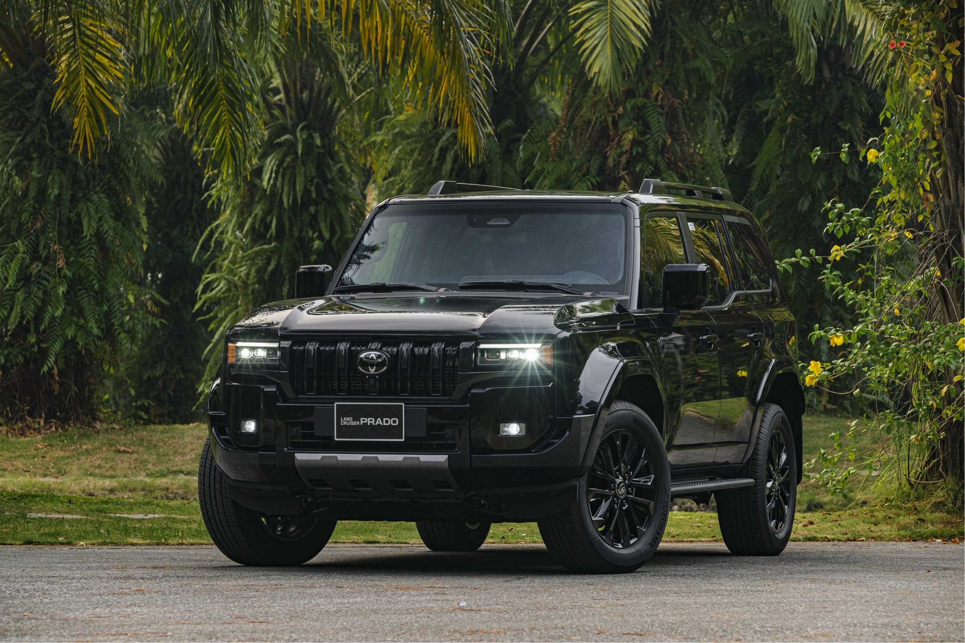 xe ảnh 9