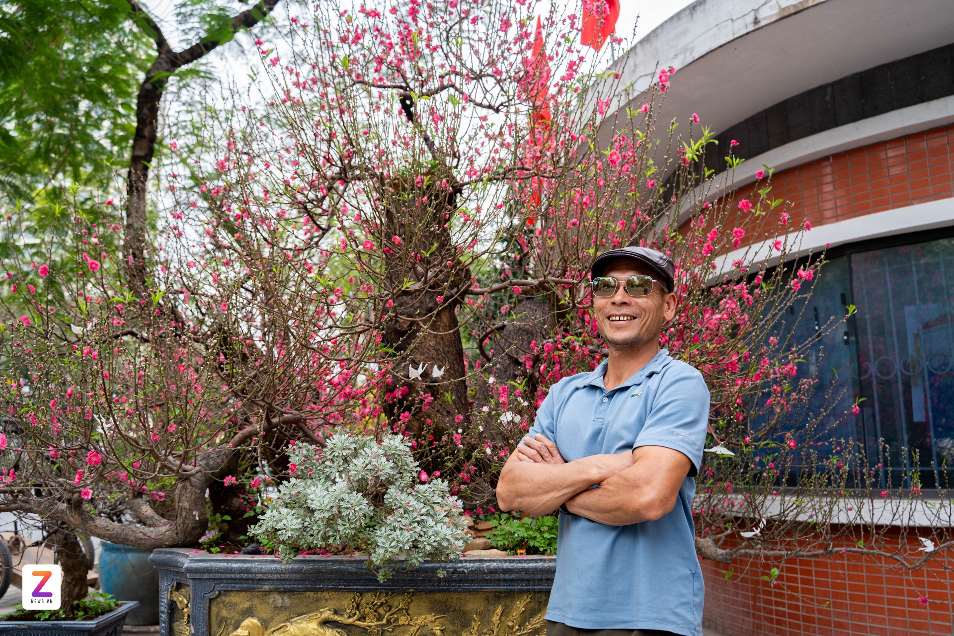 1억 복숭아나무, 1억 복숭아나무, 설날 복숭아나무, 낫탄 복숭아나무 (이미지 2)