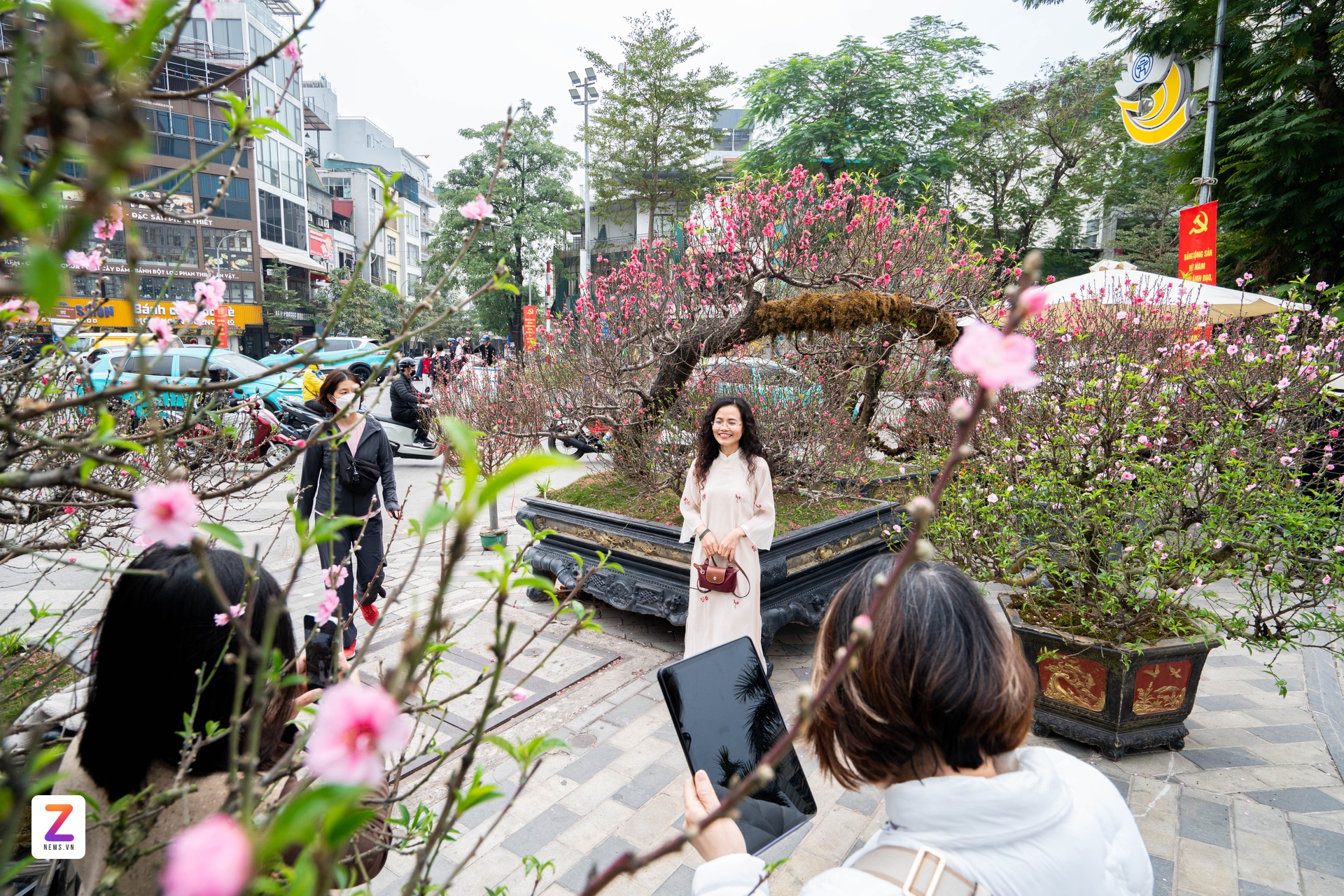 1억 복숭아나무, 1억 복숭아나무, 설날 나무, 낫탄 복숭아나무 (이미지 9)