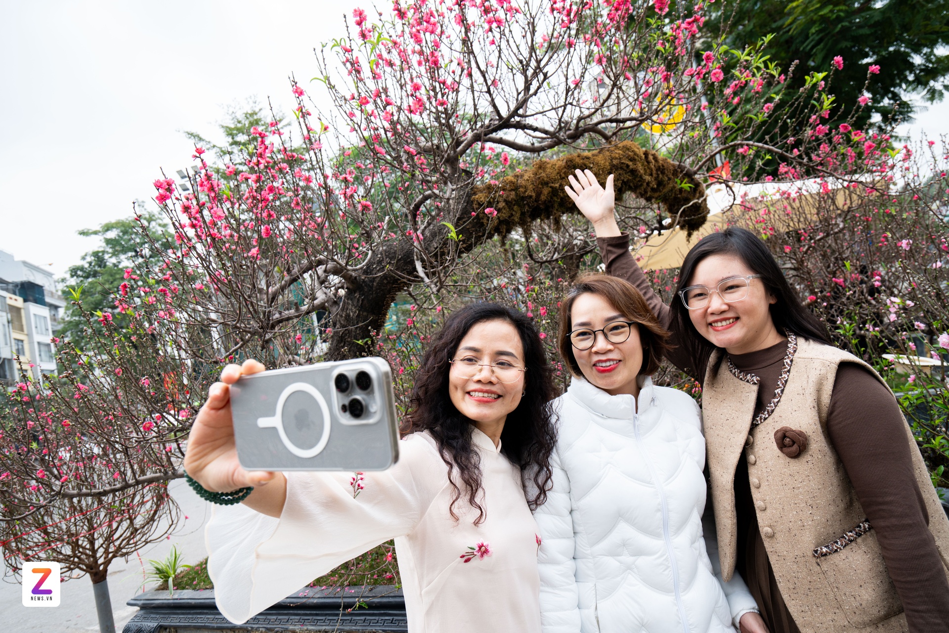 1억 복숭아나무, 1억 복숭아나무, 설날 복숭아나무, 낫탄 복숭아나무 (이미지 10)