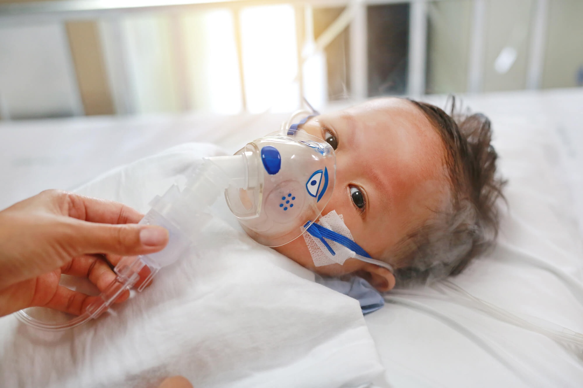 vaccine RSV anh 2