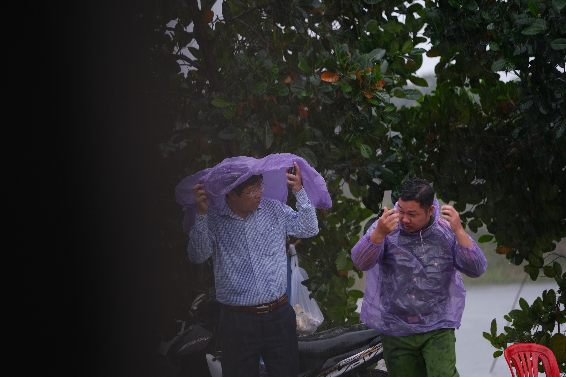 Thai Ly Hao Nam anh 1