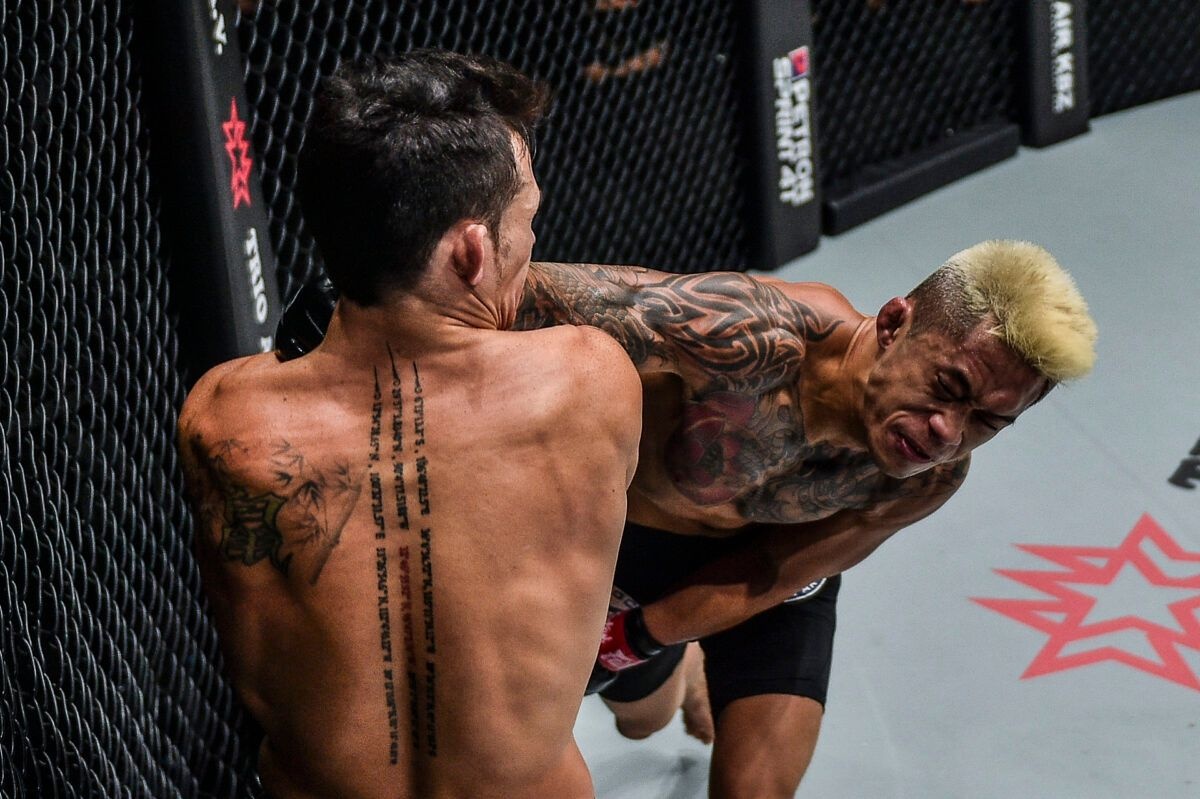 Martin Nguyen anh 3