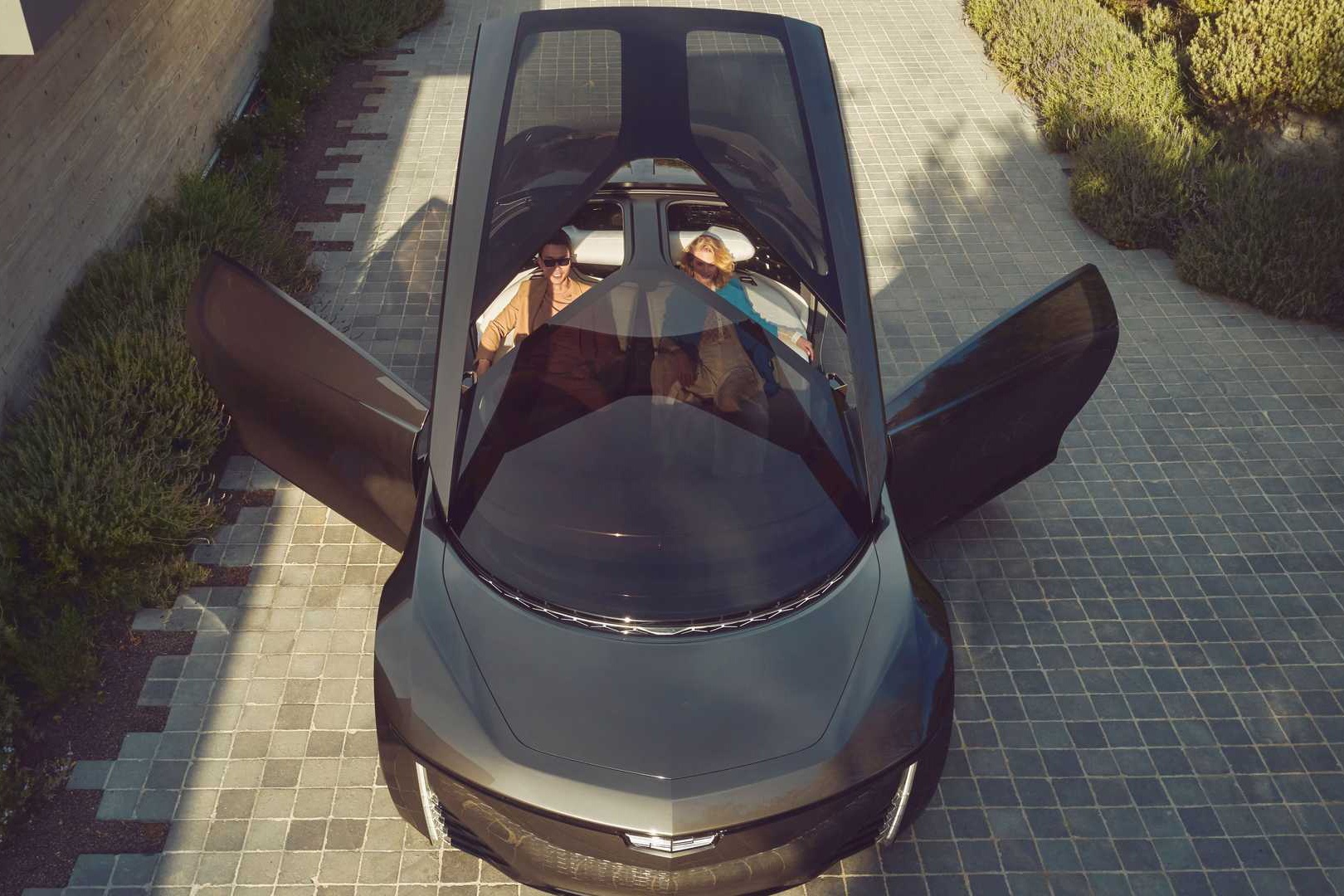 Cadillac InnerSpace Concept anh 2