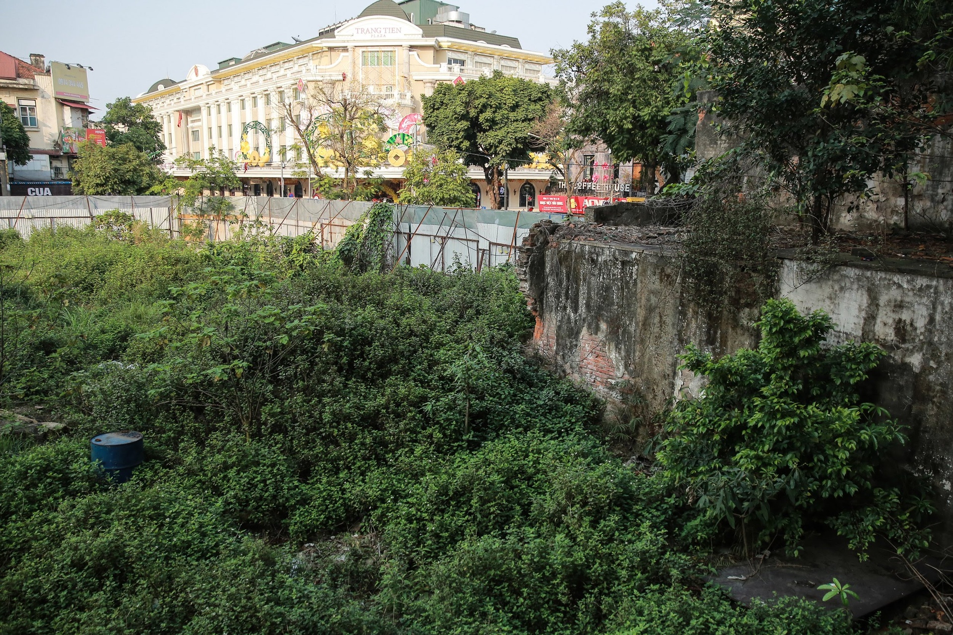 dat vang bo hoang tai ha noi anh 2