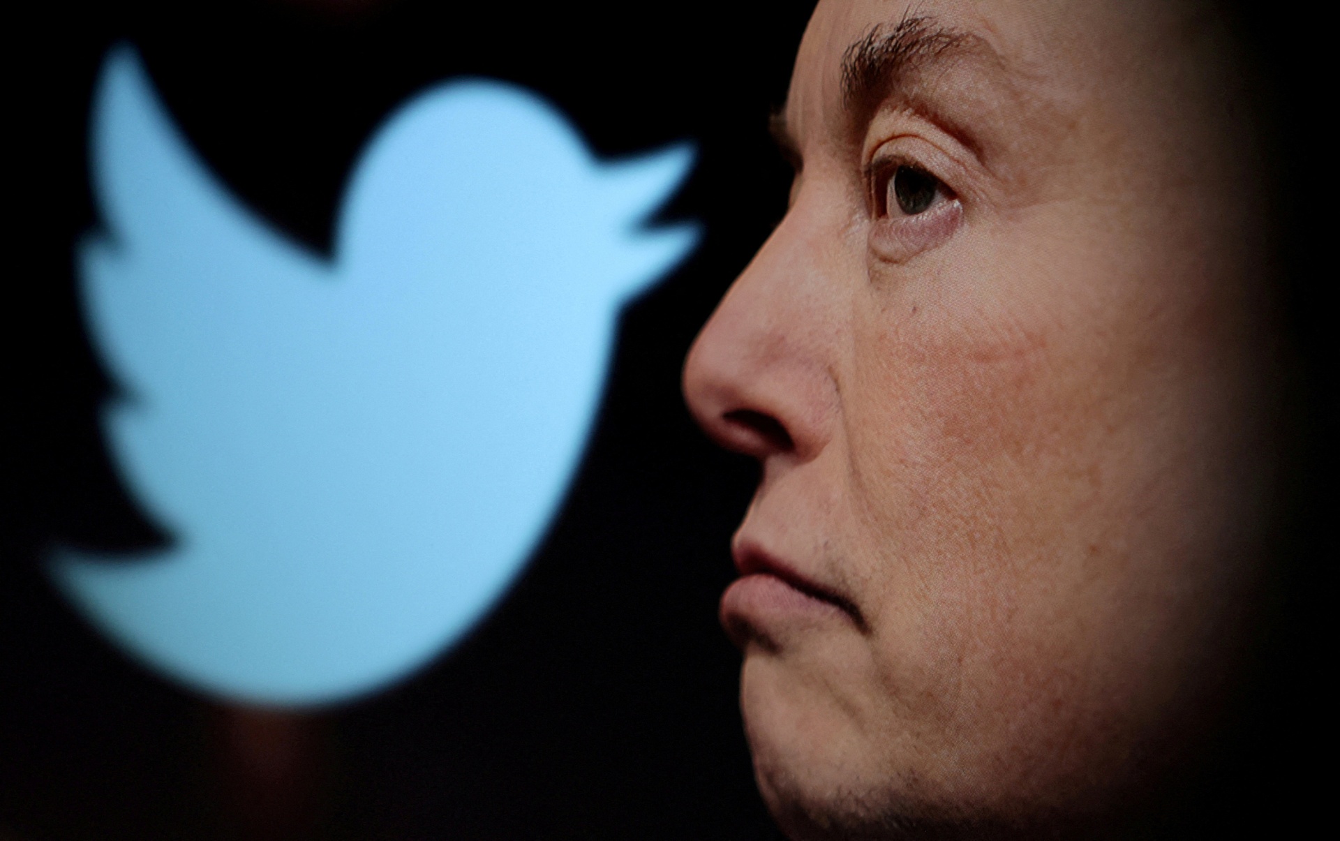 Elon Musk doi dau Apple anh 2