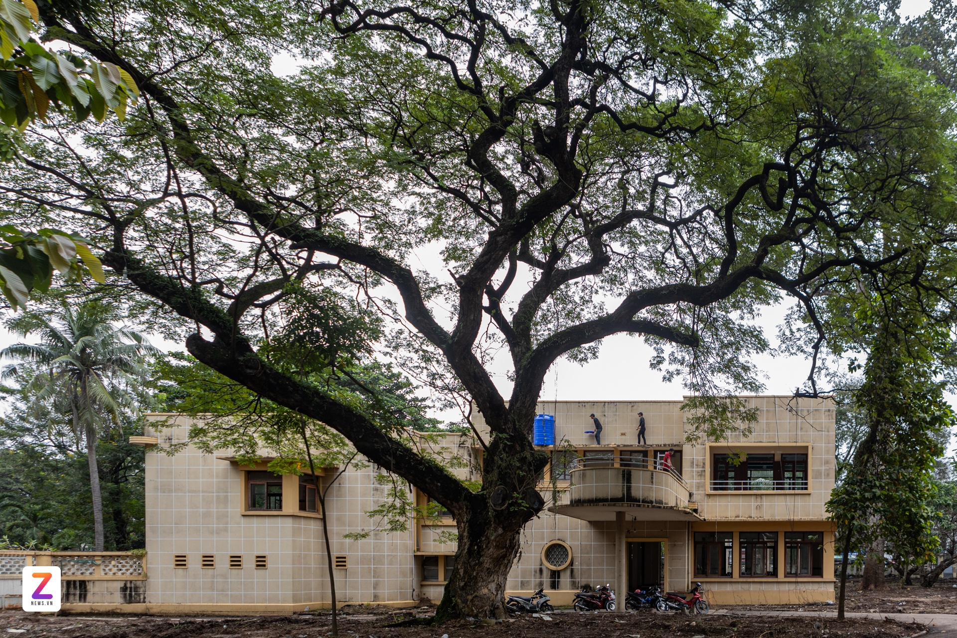 Dai tuong niem COVID-10 anh 7