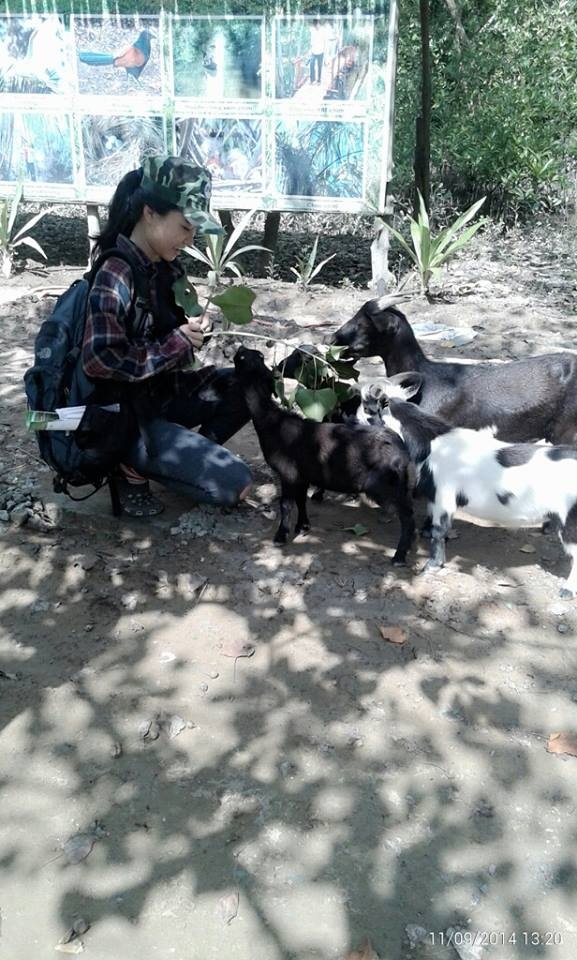 Cần Giờ luôn chào đón bạn.