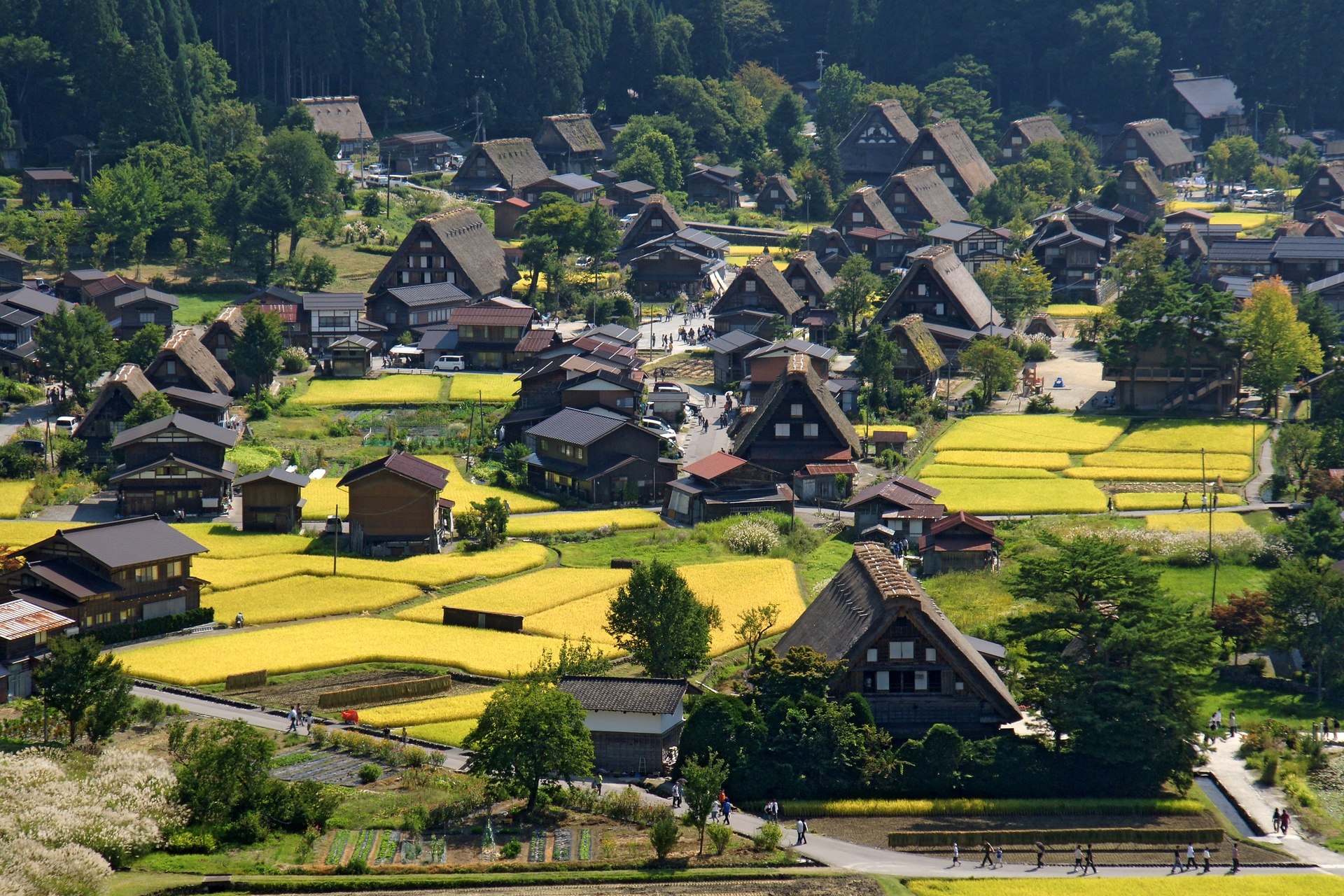 Làng cổ Shirakawa-go ảnh 1 Lang co Shirakawa-go anh 1