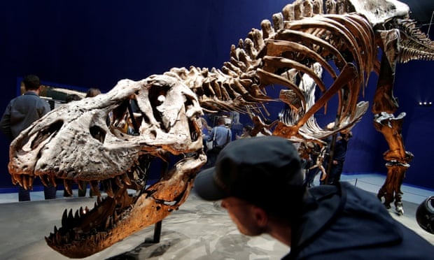 khung long bao chua T-rex,  2, 5 ty con tung song tren trai dat,  nghien cuu tren tap chi Khoa hoc anh 1
