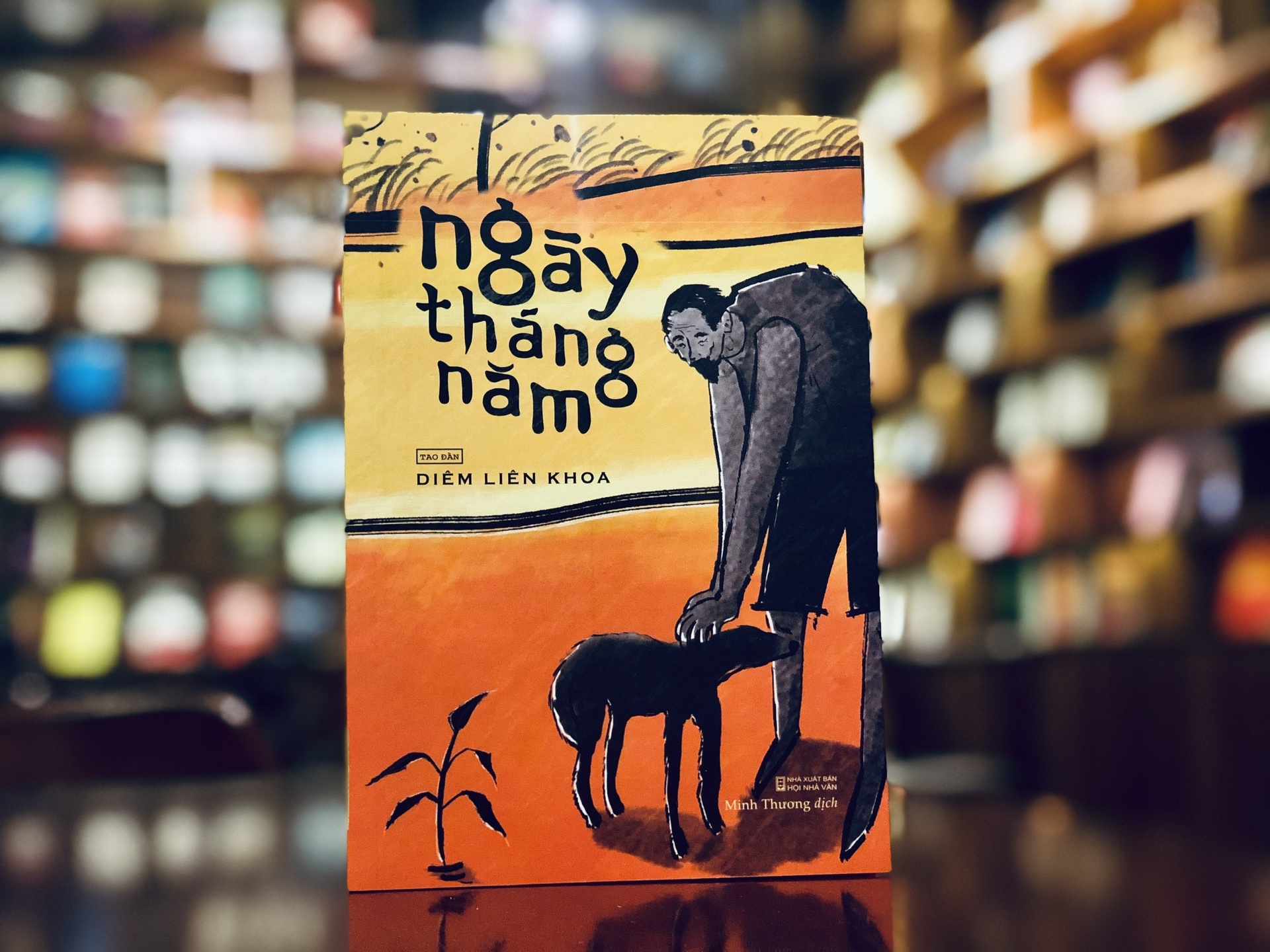 Ngay thang nam anh 1