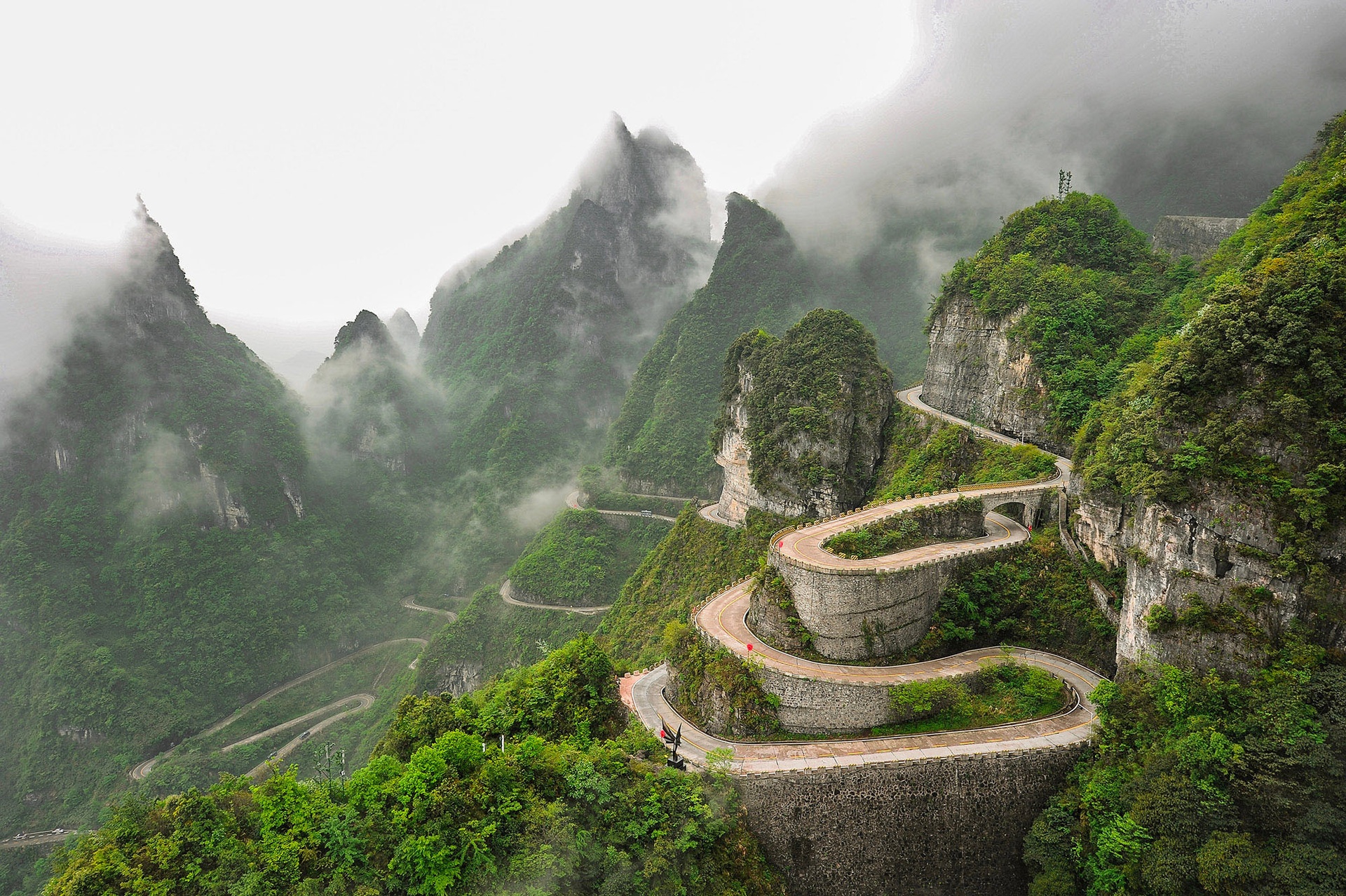 truong gia gioi anh 3