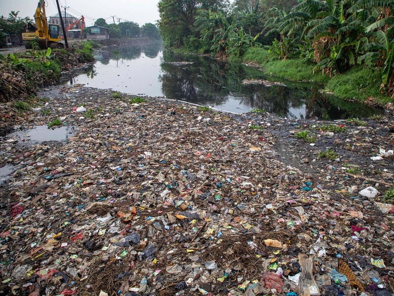 nan pha rung anh 1
