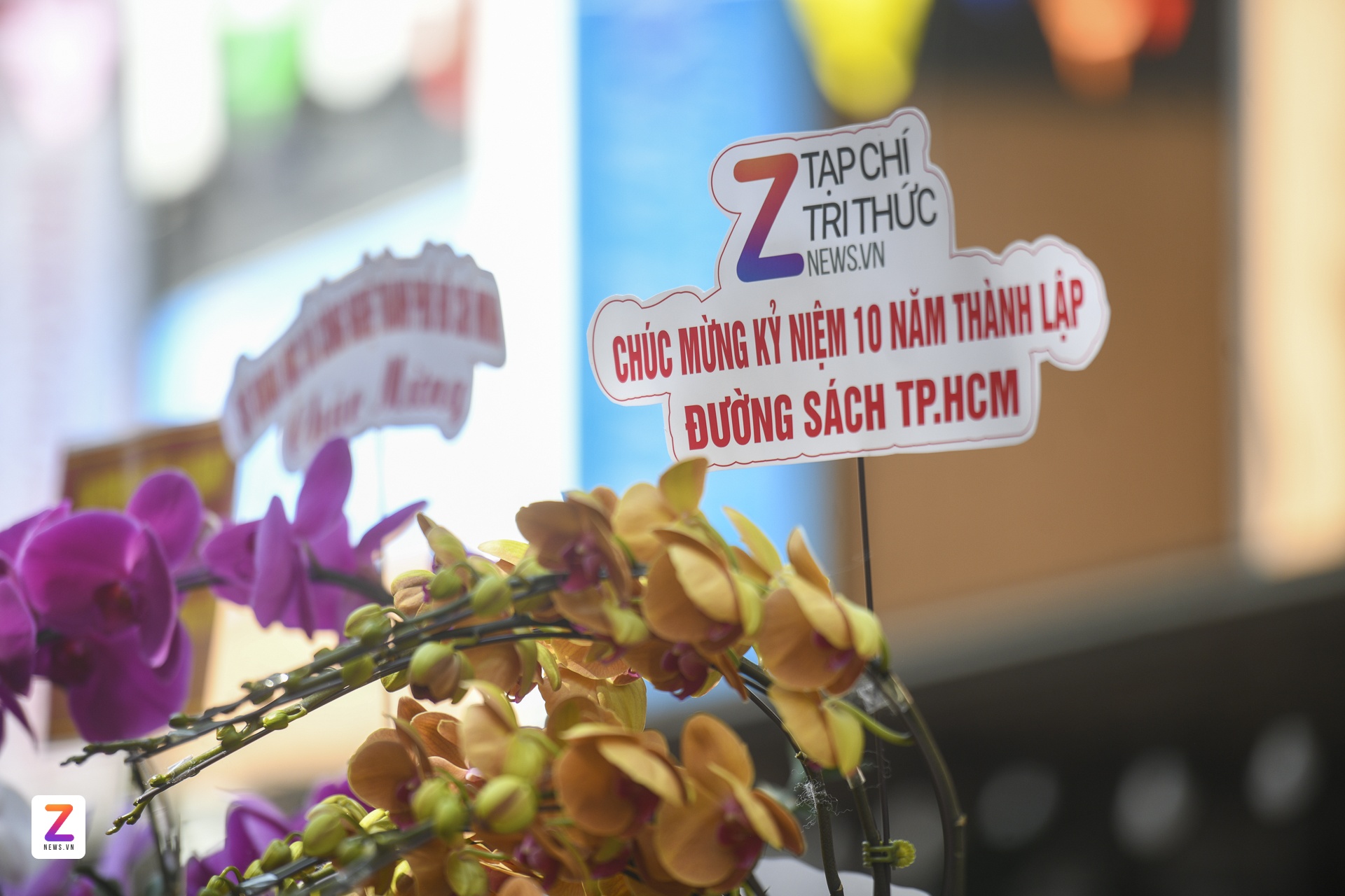 duong sach anh 11