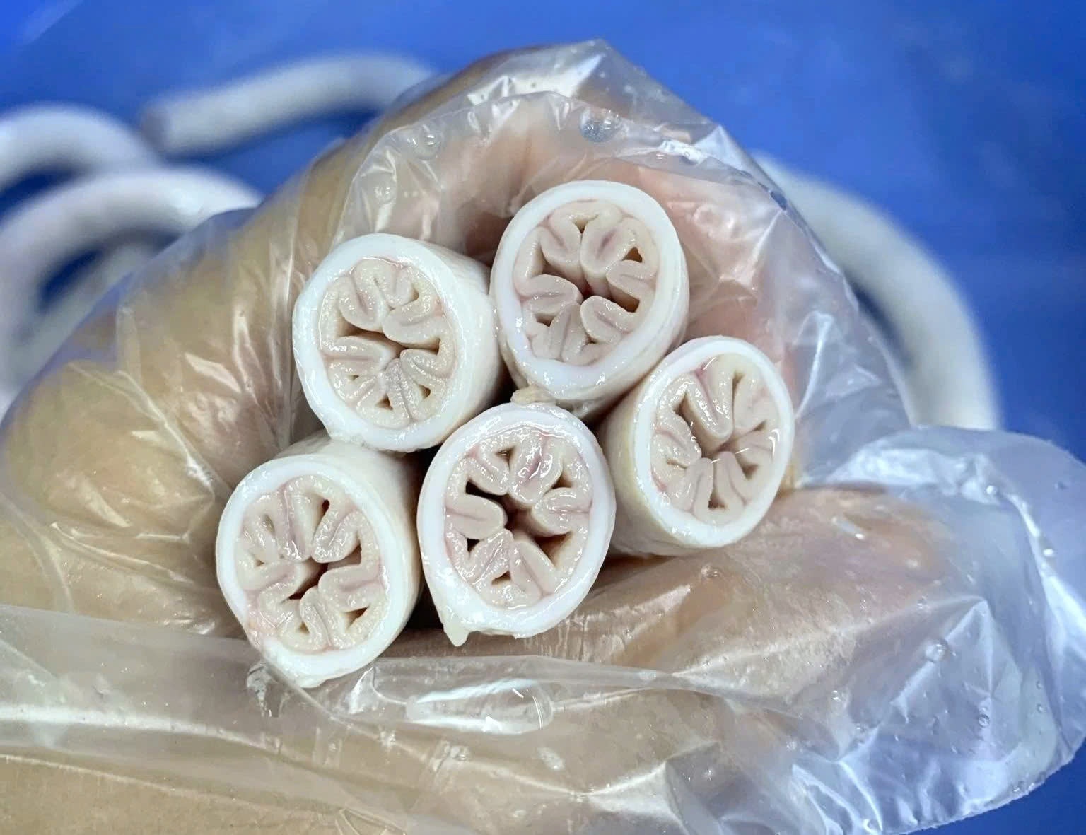 thu long xe dieu anh 2