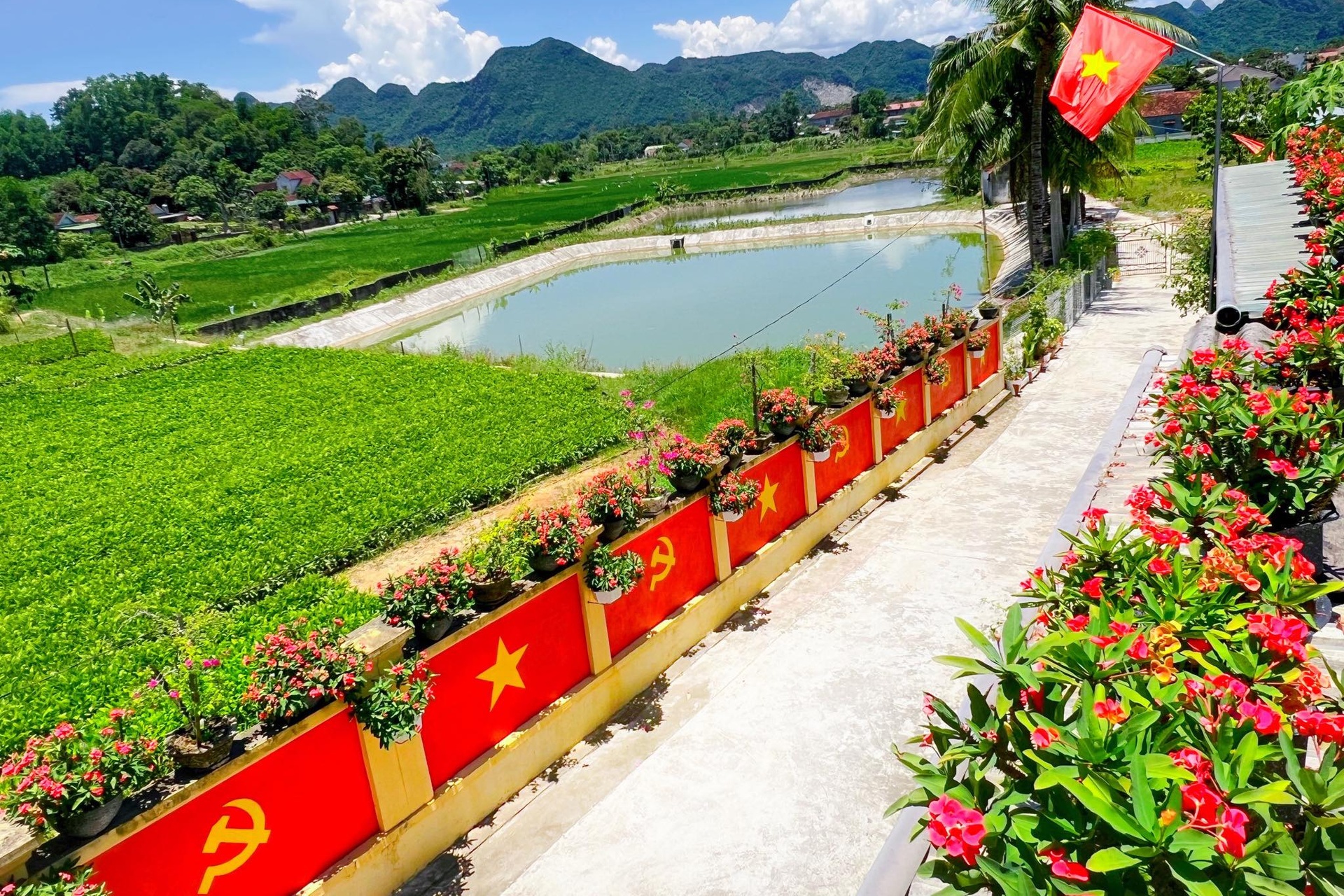 trang tri co to quoc anh 1