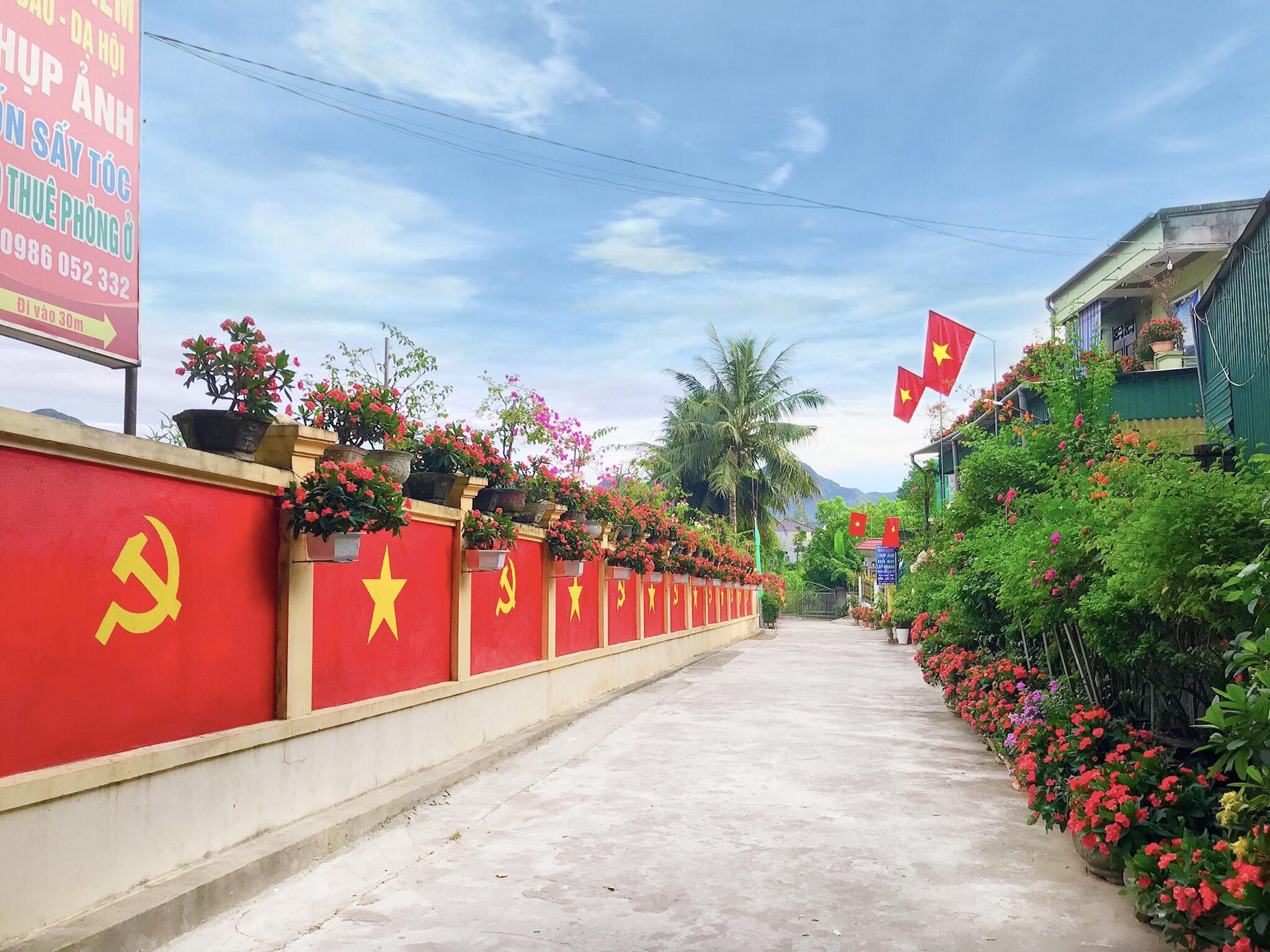 trang tri co to quoc anh 3