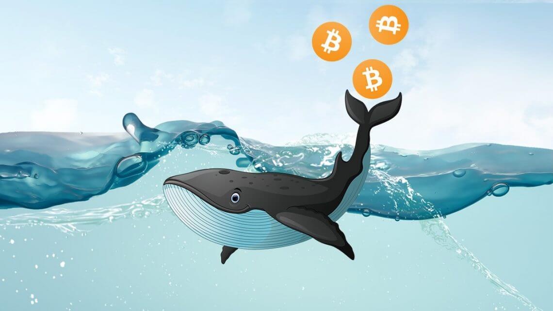 ai kiem soat Bitcoin anh 1