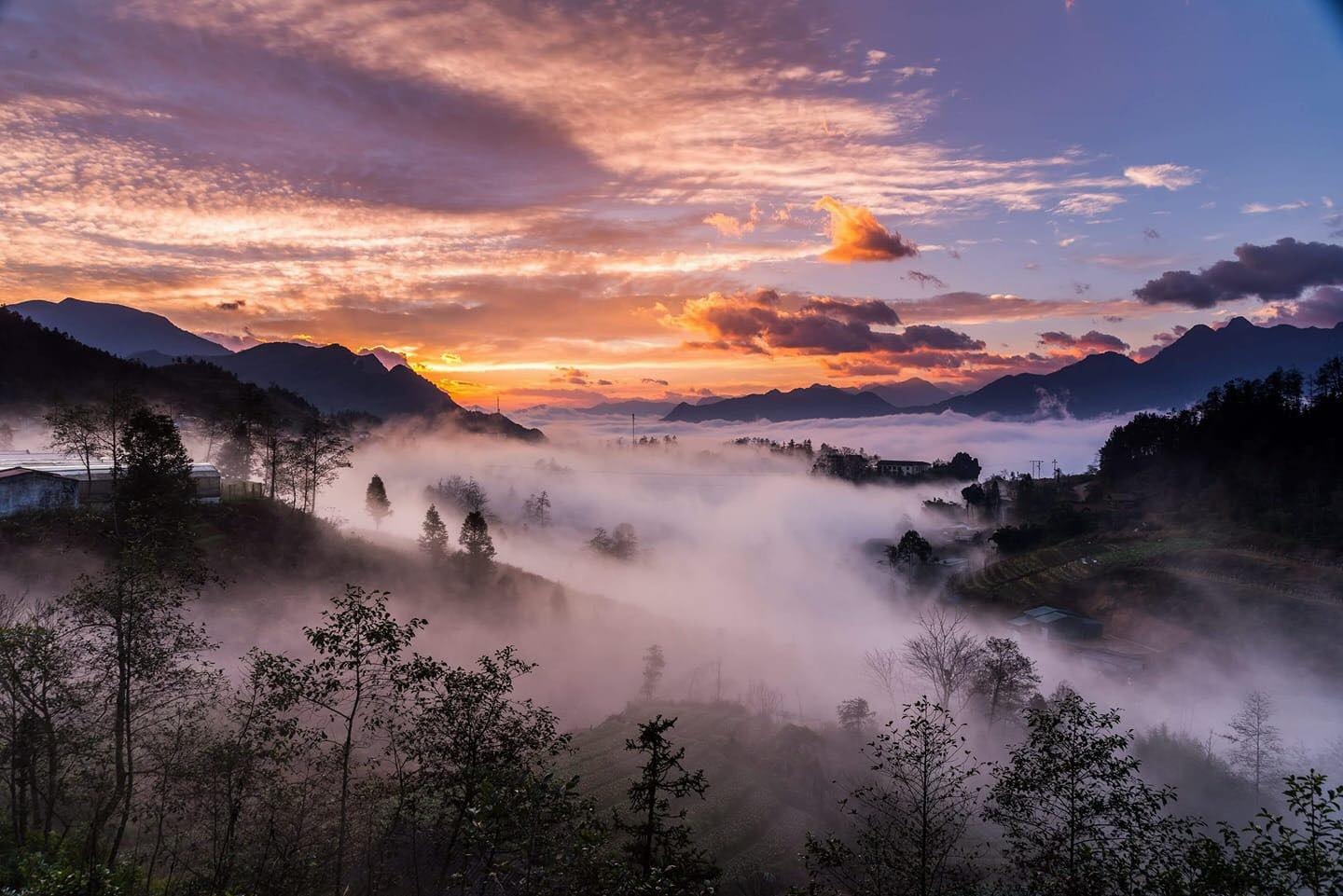 check-in ở Sapa ảnh 1 check-in o Sapa anh 1