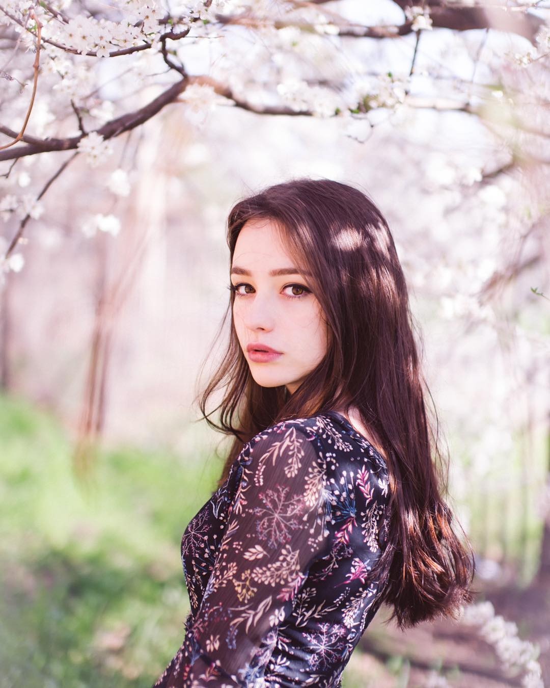 Dasha Taran anh 12