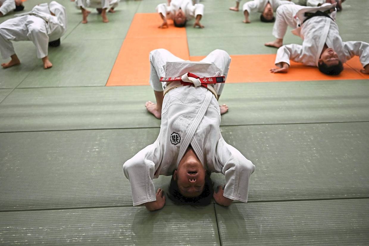 judo nhat ban anh 2