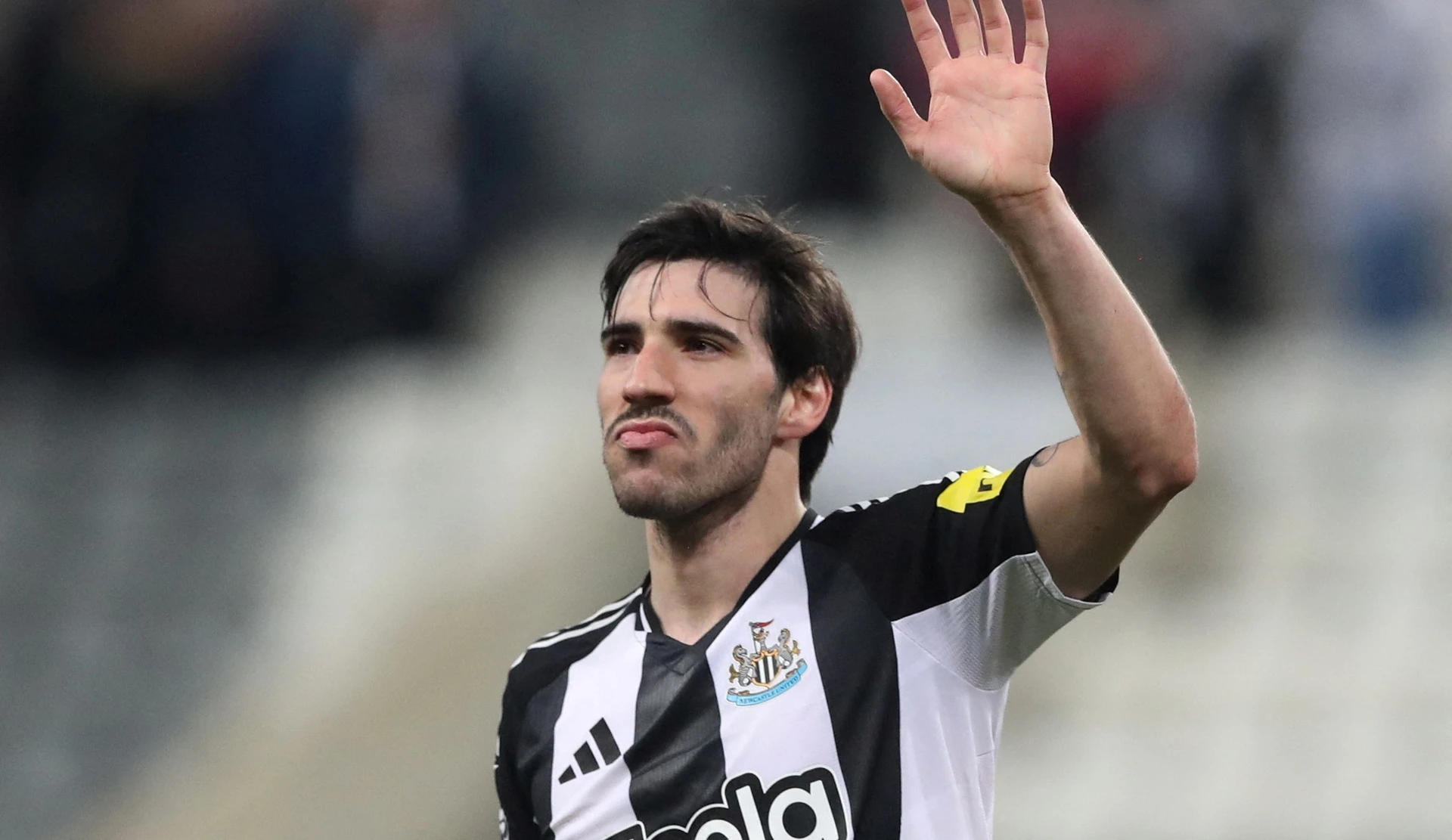 Sandro Tonali ca do anh 1