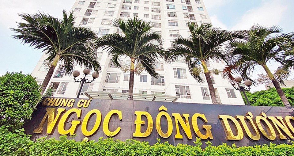 thao go,  vuong mac,  xay dung anh 2