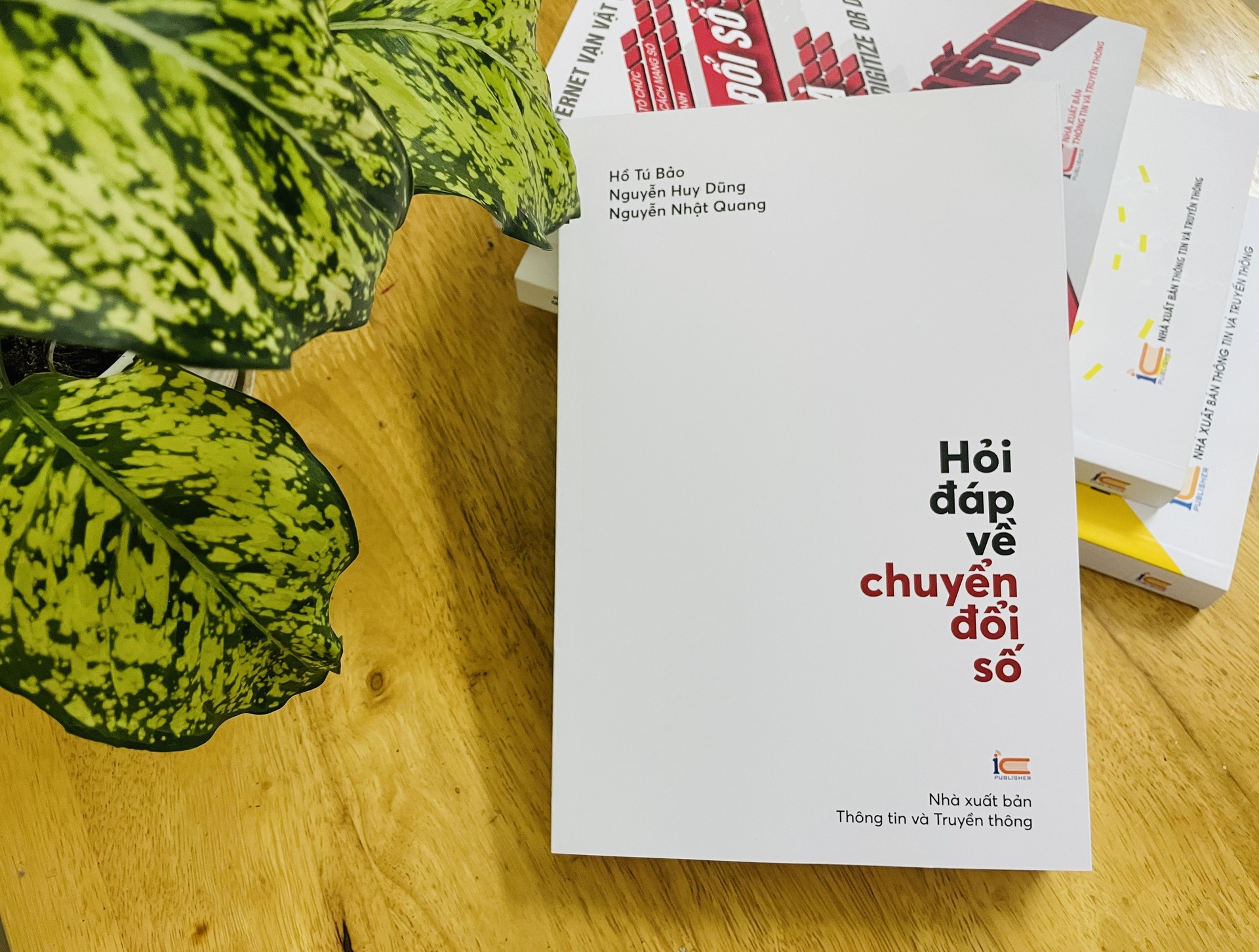 Chuyen doi so anh 1