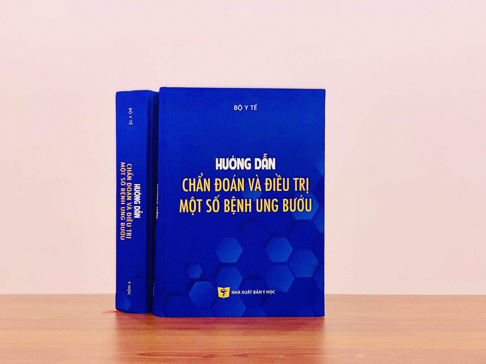 Huong dan chan doan va dieu tri mot so benh ung buou anh 1