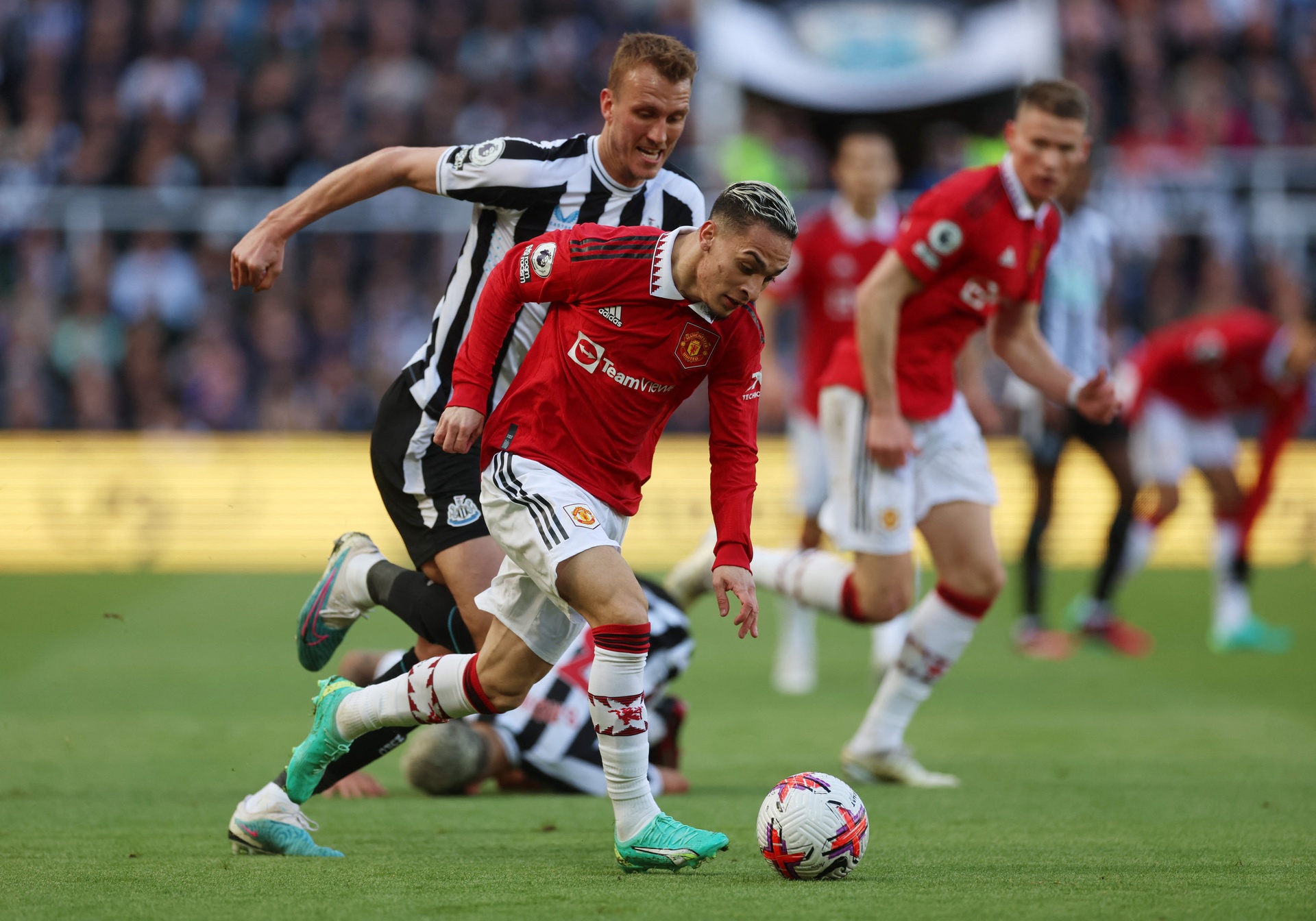 Newcastle dau Man United anh 19