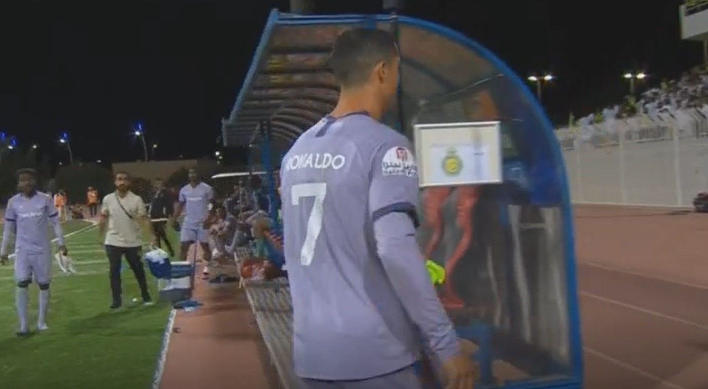 Al Nassr hoa anh 1