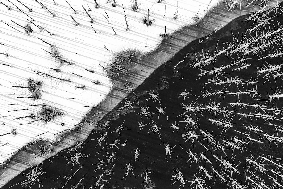 anh phong canh dep 2020 anh 6