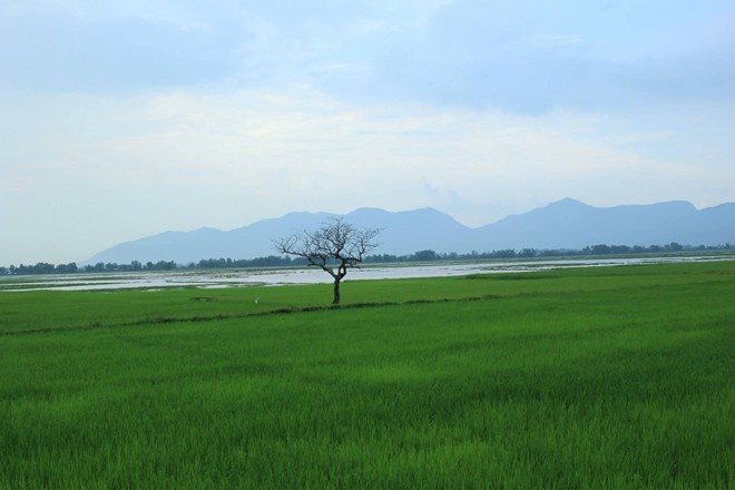 An Giang, vùng đất được các độc giả yêu mến nhất tuần 3.