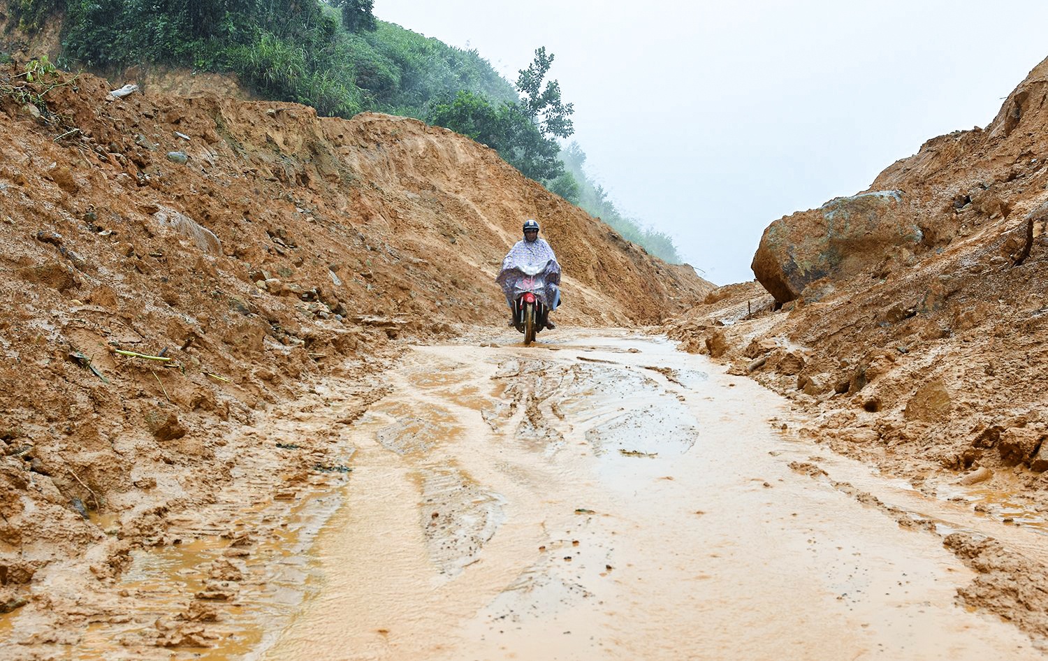 thiet hai dao bao anh 1