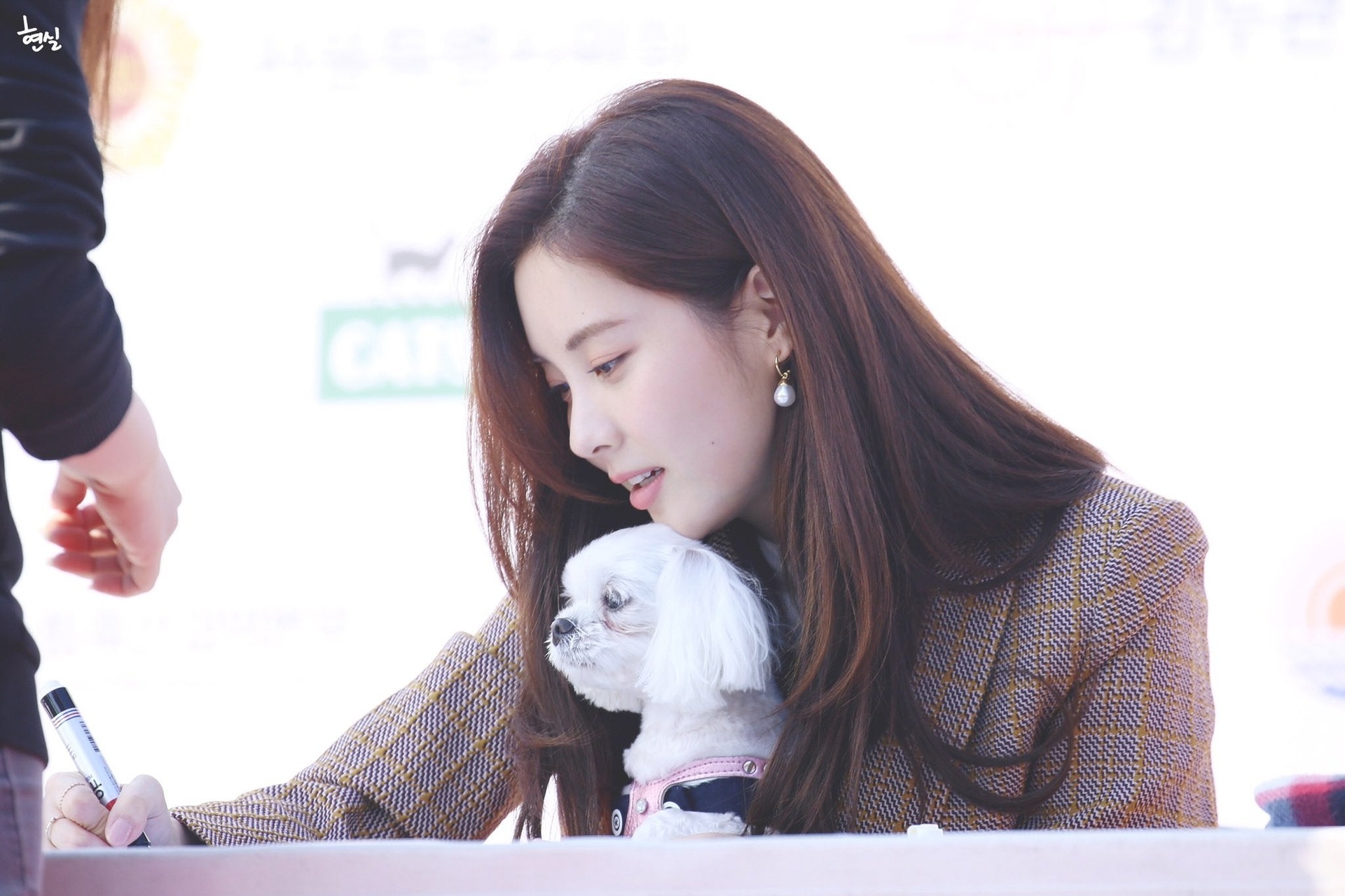 hình mẫu idol của giới trẻ ảnh 2 hinh mau idol cua gioi tre anh 2