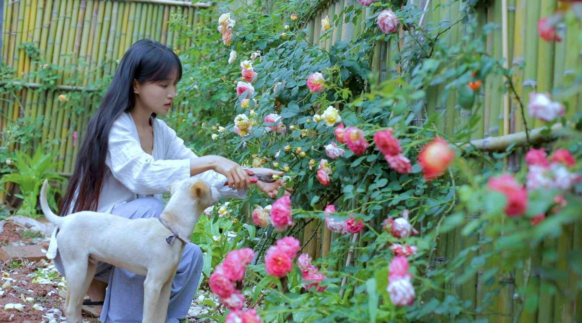 Ngoi nha dep nhu tranh ve cua 'tien nu dong que' Ly Tu That hinh anh 2 
