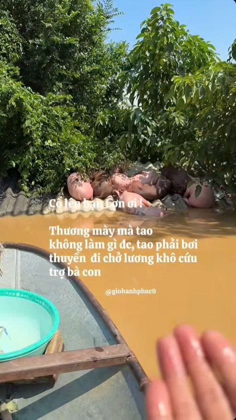 lu lut o bac ninh anh 2