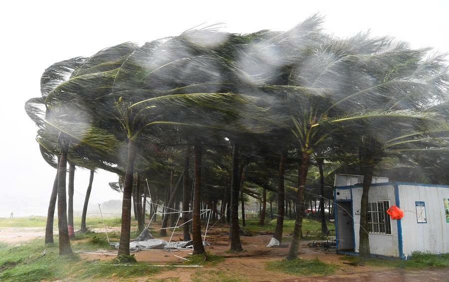 sieu bao Yagi anh 4