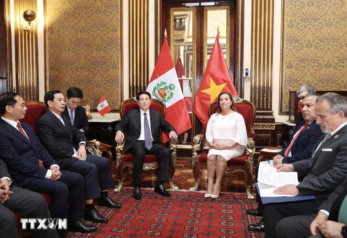 Chu tich nuoc Luong Cuong anh 3