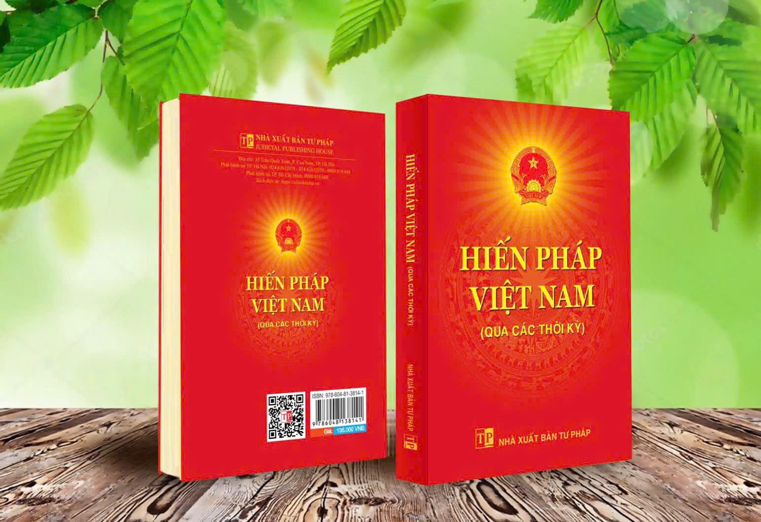 Hien phap Viet Nam anh 1