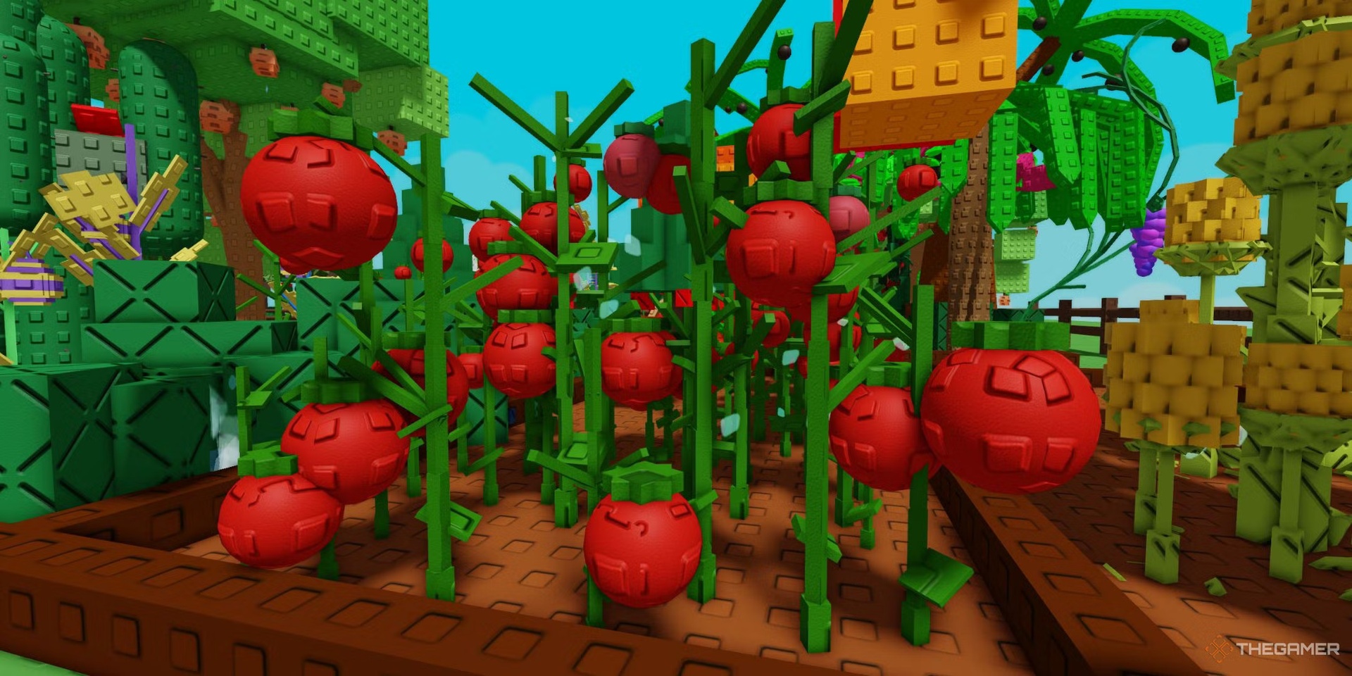 tomatoes_in_grow_a_garden.jpg