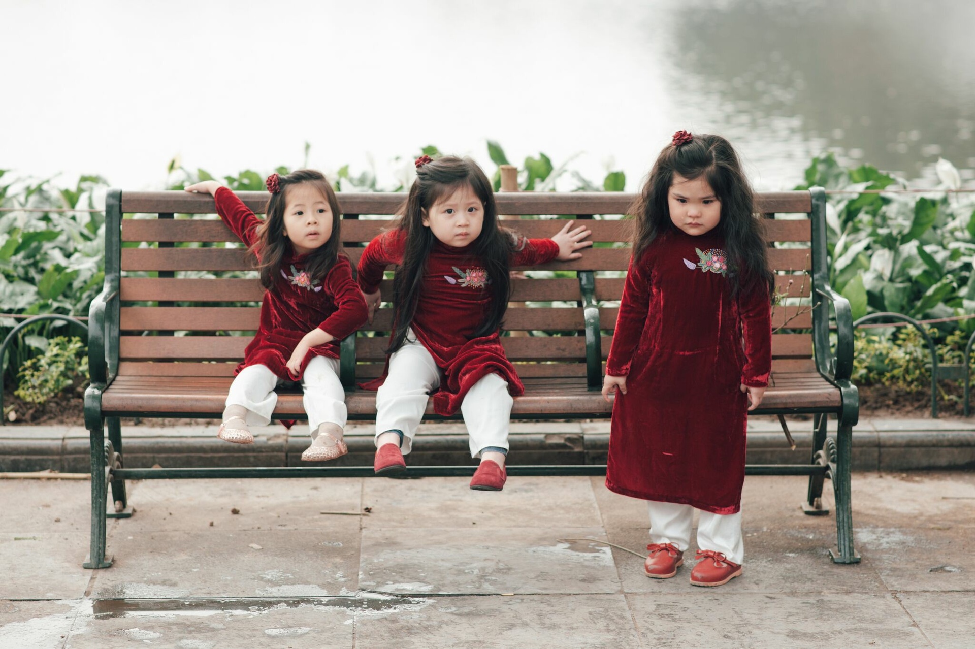 bo anh Tet anh 1