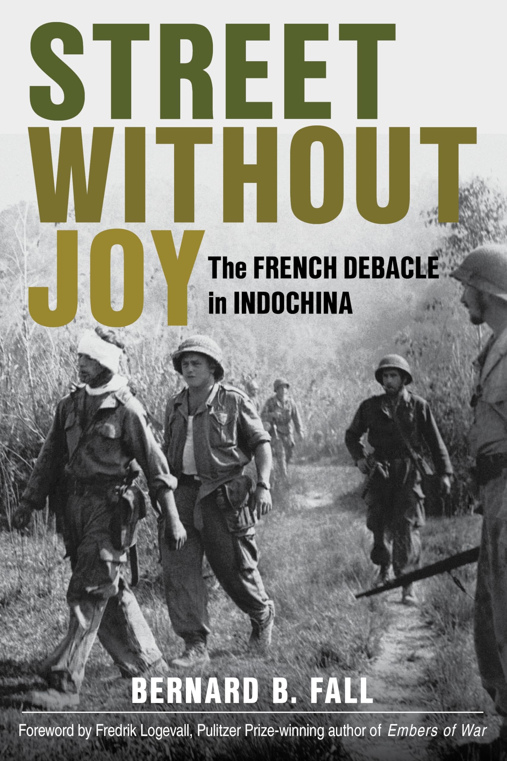 Dien Bien Phu anh 6