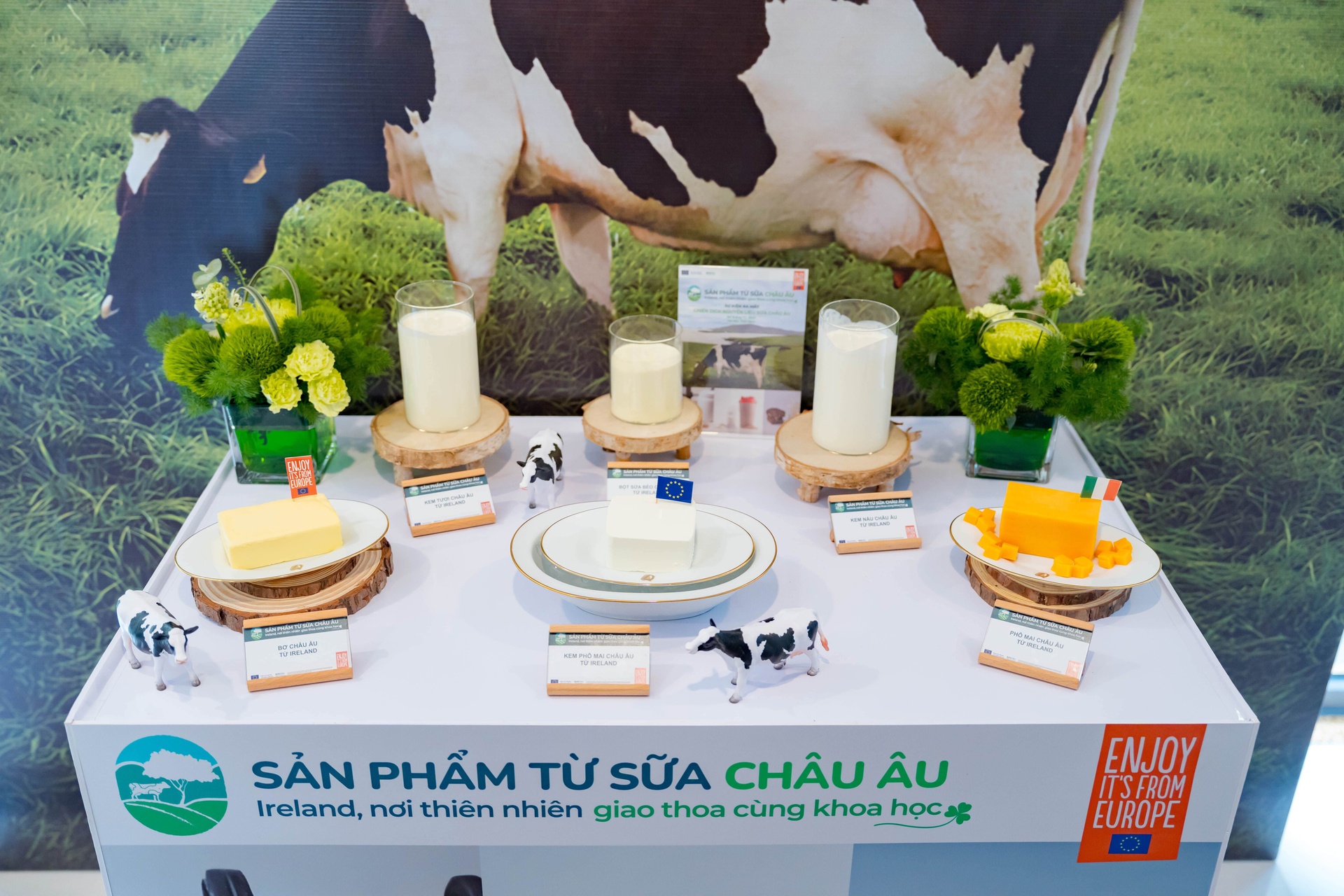 Sữa châu Âu Ireland ảnh 3 Sua chau Au Ireland anh 3