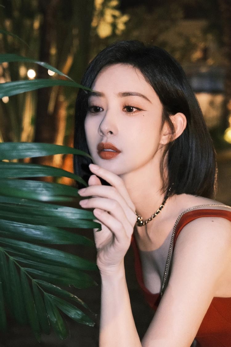 Manh Tu Nghia anh 5