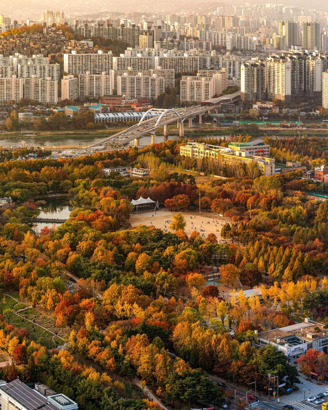 mua thu Seoul anh 2