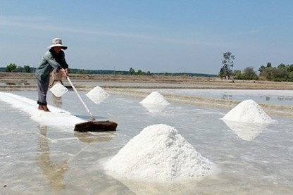 Lượng muối tồn đọng lớn khiến cuộc sống của người dân miền Trung điêu đứng.